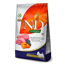 N&D Pumpkin Kuzu Etli Tahılsız Küçük Irk Yetişkin Köpek Maması 2.5 Kg