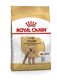 Royal Canin Poodle Adult Yetişkin Köpek Maması 3 Kg