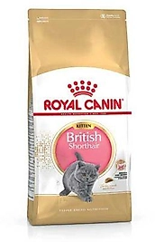 Royal Canin British Shorthair Kitten Yavru Kedi Maması 2 Kg