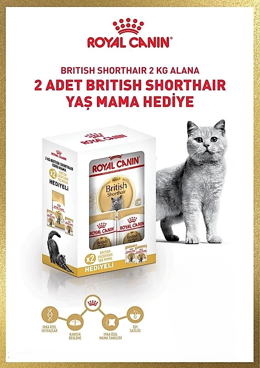 Royal Canin British Shorthair 2 Kg + 2 Adet 85 Gr Yaş Mama