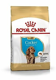 Royal Canin Cocker Spaniel Puppy Yavru Köpek Maması 3 Kg