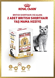 Royal Canin British Shorthair 2 Kg + 2 Adet 85 Gr Yaş Mama