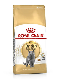 Royal Canin British Shorthair Yetişkin Kedi Maması 10 Kg