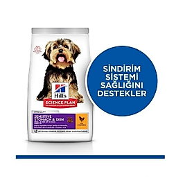 Hill's SCIENCE PLAN Small&Mini Adult Stomach & Skin Tavuklu Küçük Irk Yetişkin Köpek Maması 1,5kg