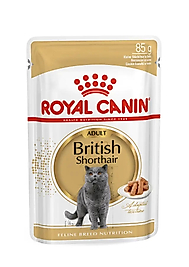 Royal Canin British Shorthair Yetişkin Kedi Yaş Mama 85 Gr