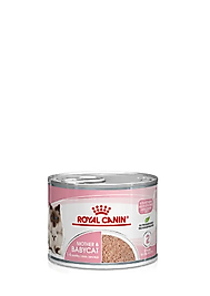 Royal Canin Babycat Yavru Kedi Yaş Mama Sos İçinde 195 Gr