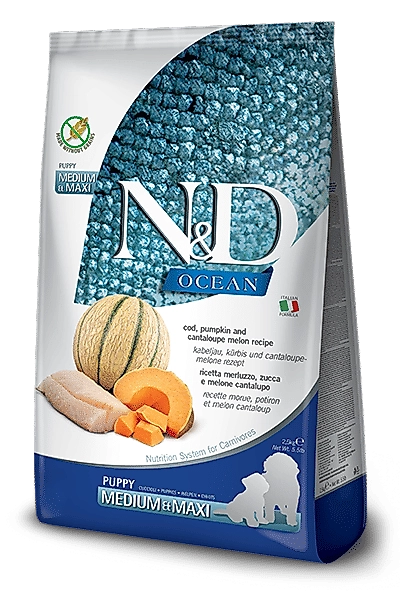 N&D Ocean Morina Balıklı Balkabaklı Kavunlu Yavru Küçük Irk Köpek Maması 2,5 Kg