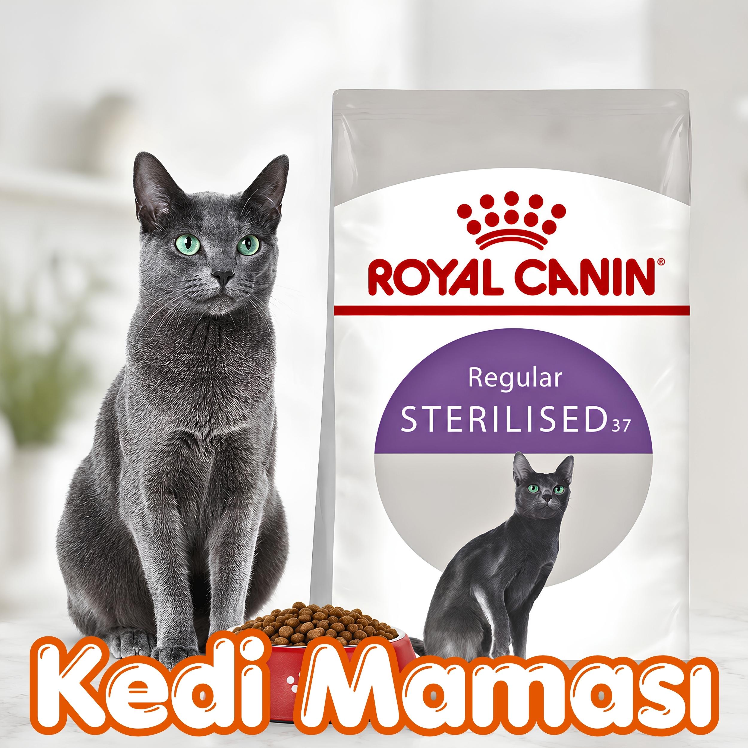 Kedi Maması
