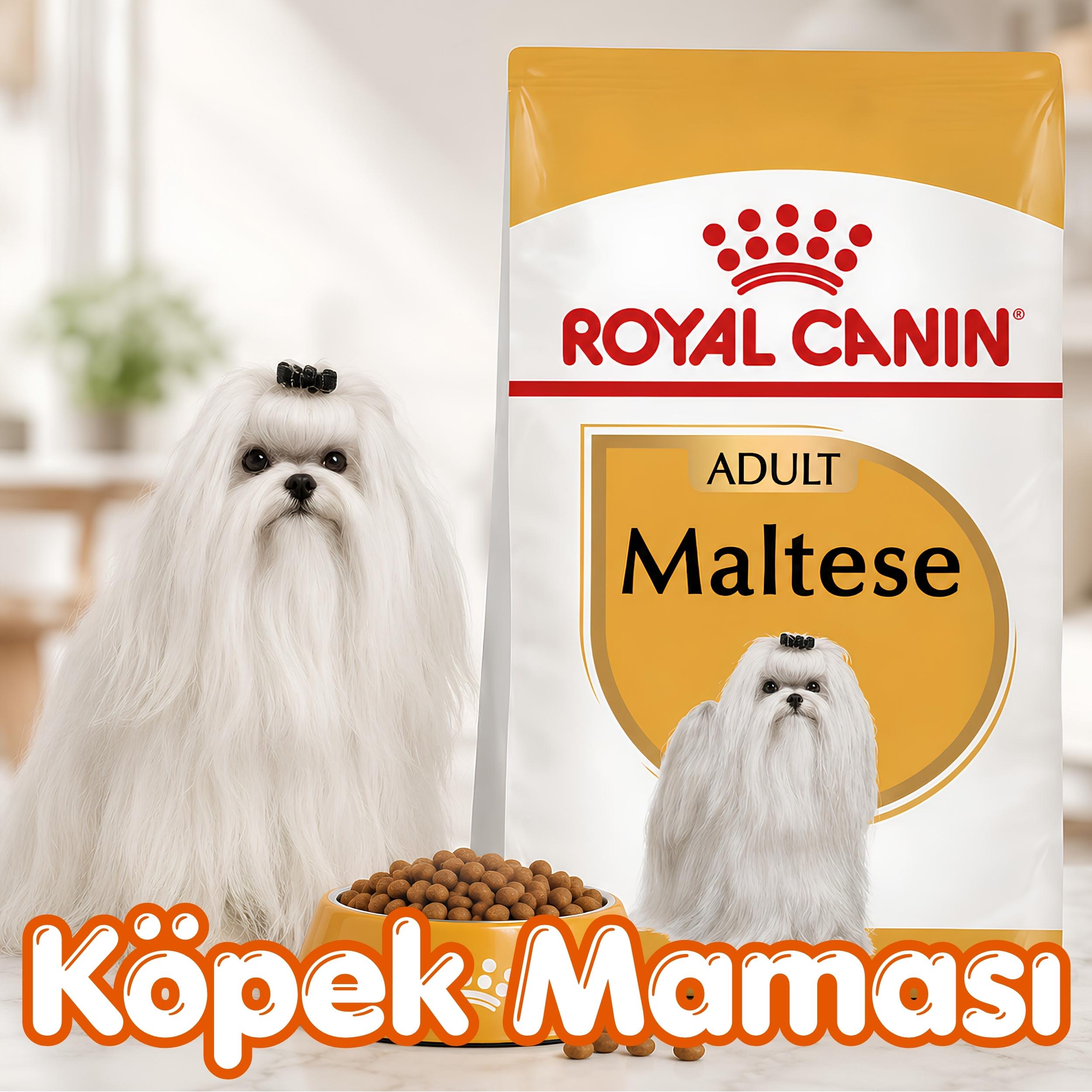 Köpek Maması