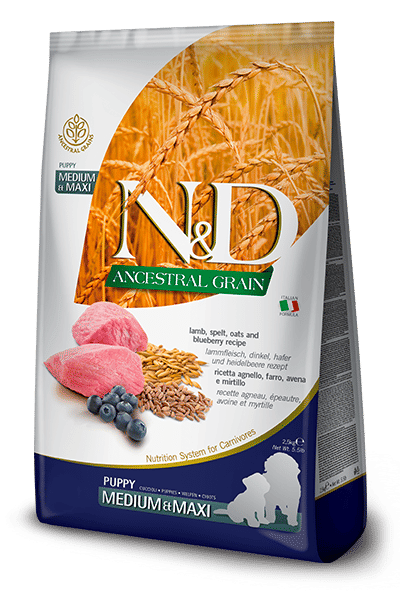 N&D Ancestral Grain Kuzulu ve Yaban Mersinli Yavru Küçük Irk Köpek Maması 7 Kg