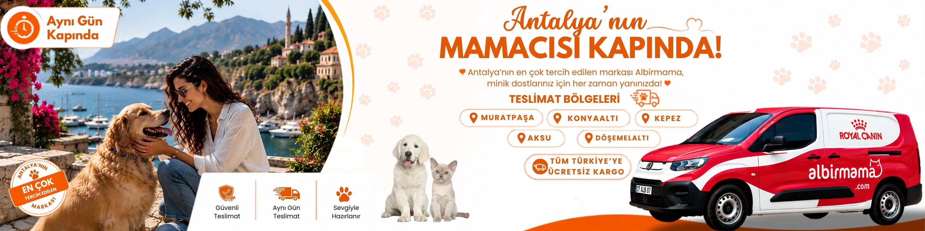 yeni banner