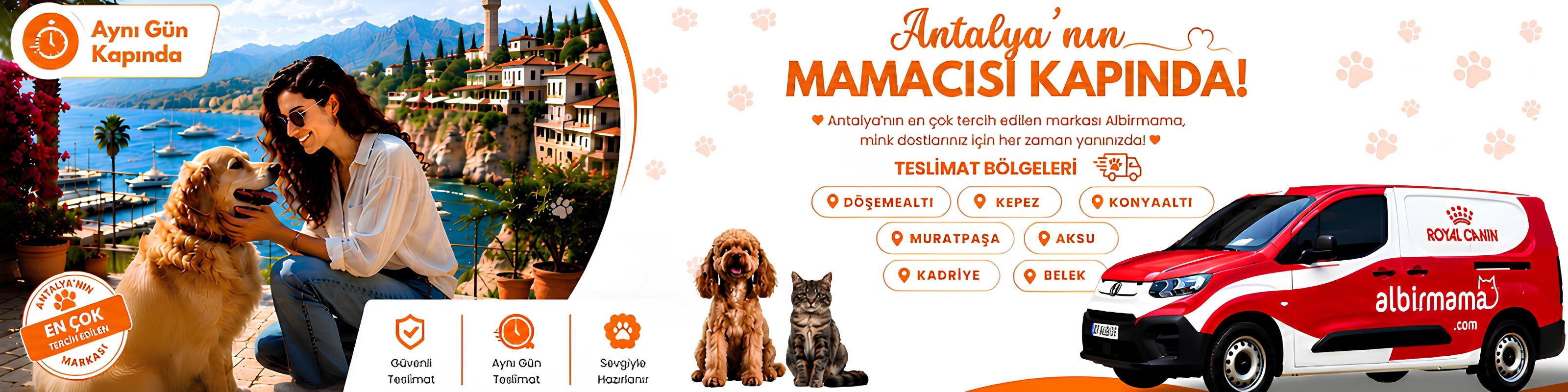 yeni banner