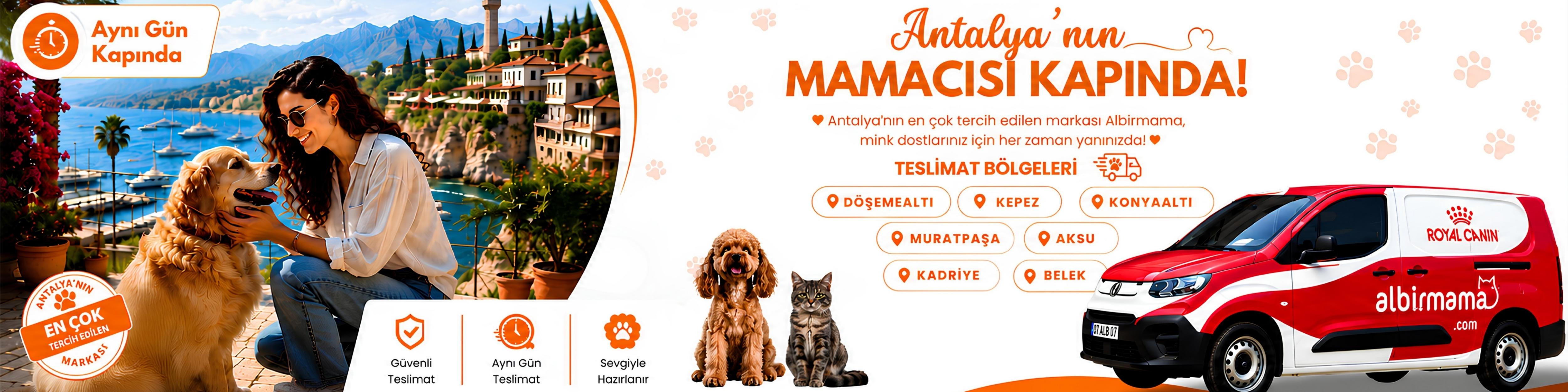 yeni banner
