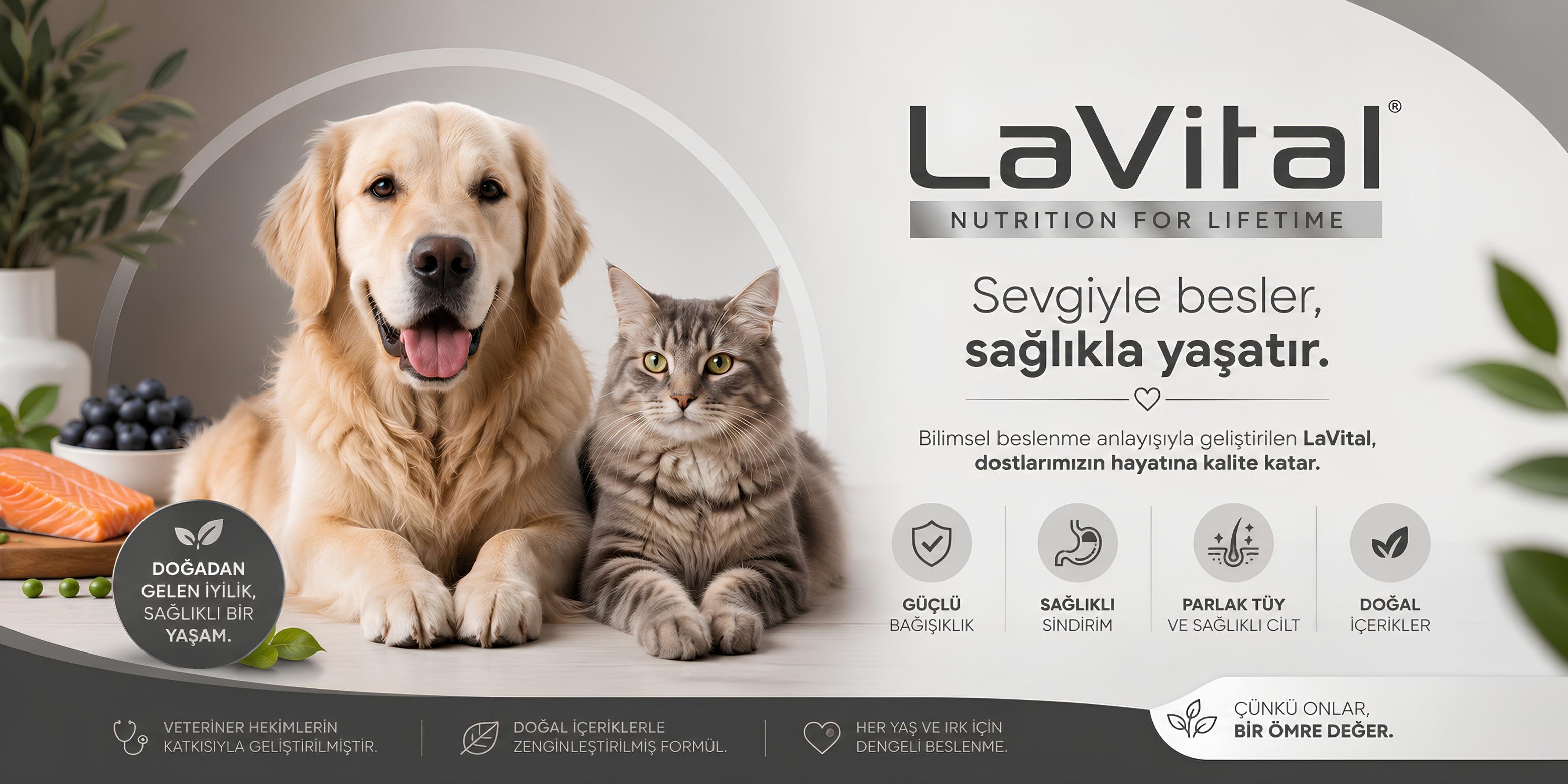 lavital