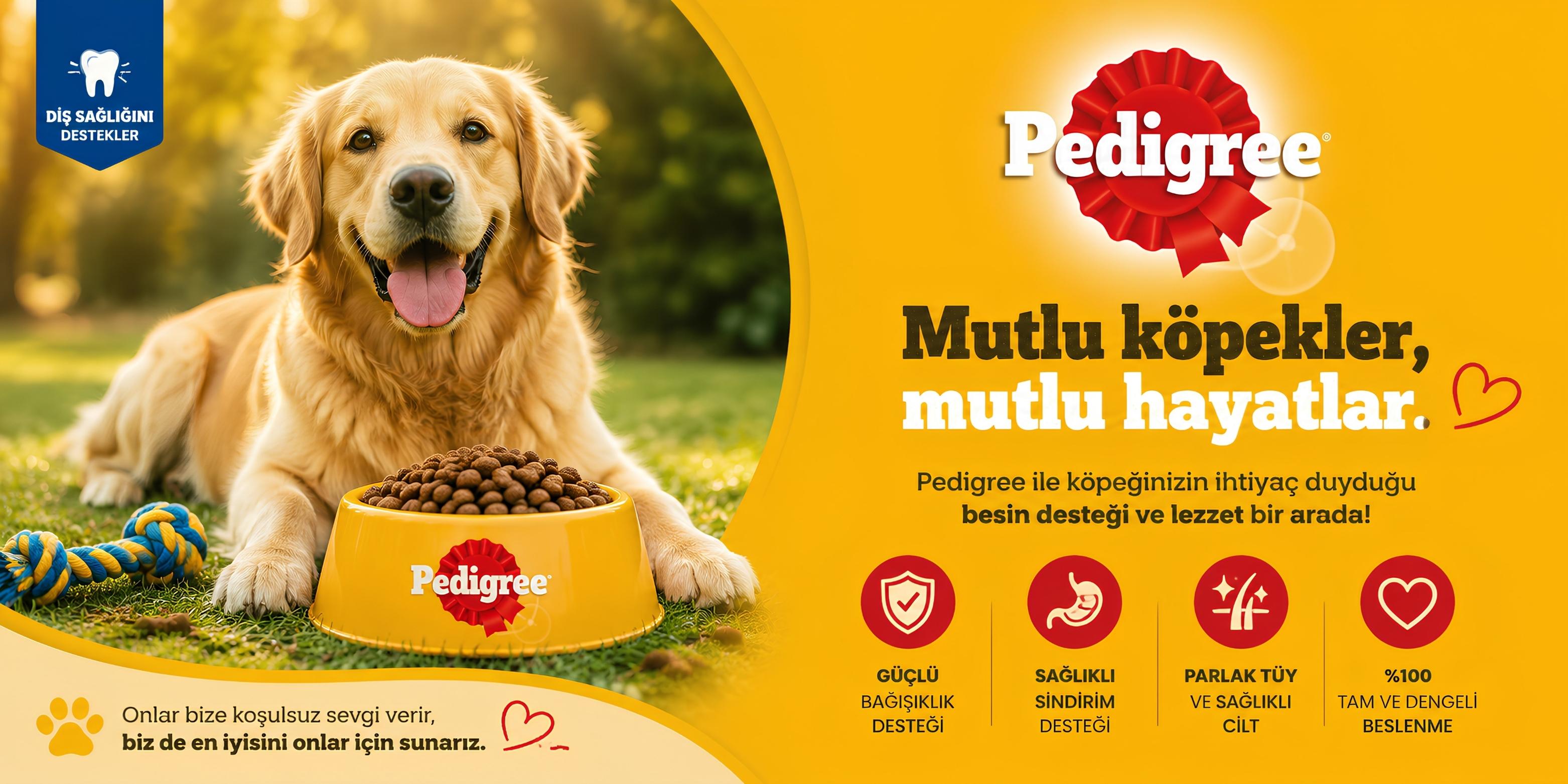 pedi